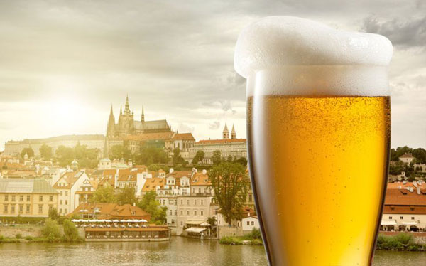 Afternoon beers prague stag premium